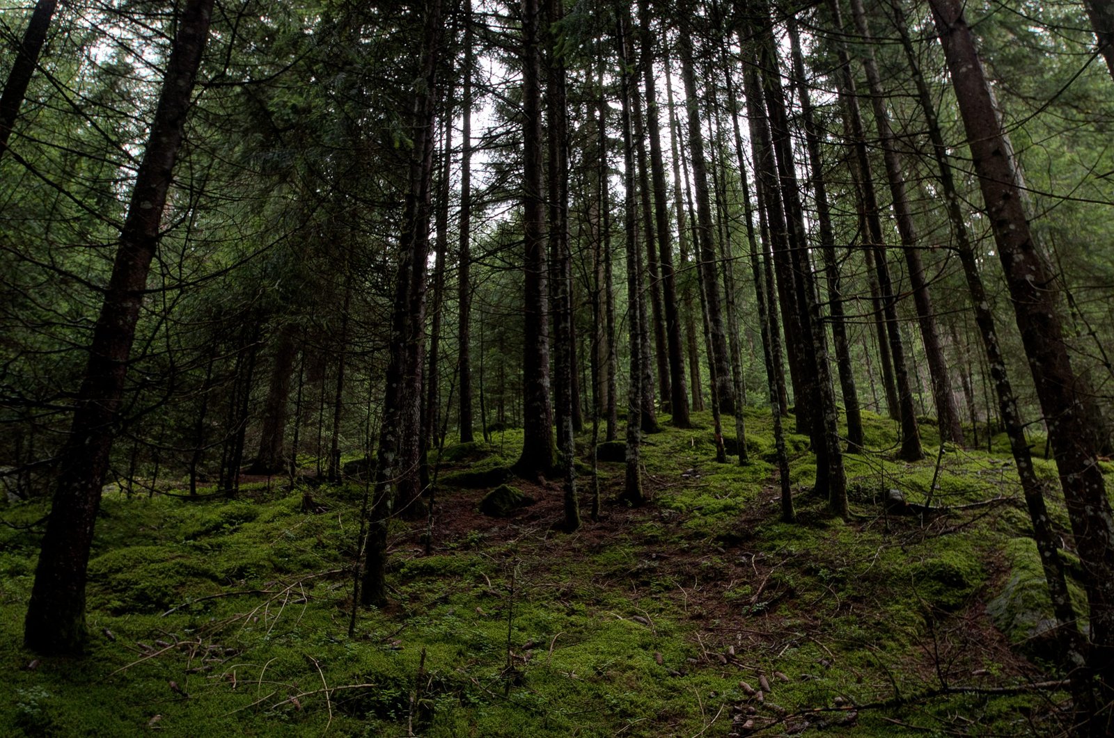 5 detalles para hacer una casa más sostenible